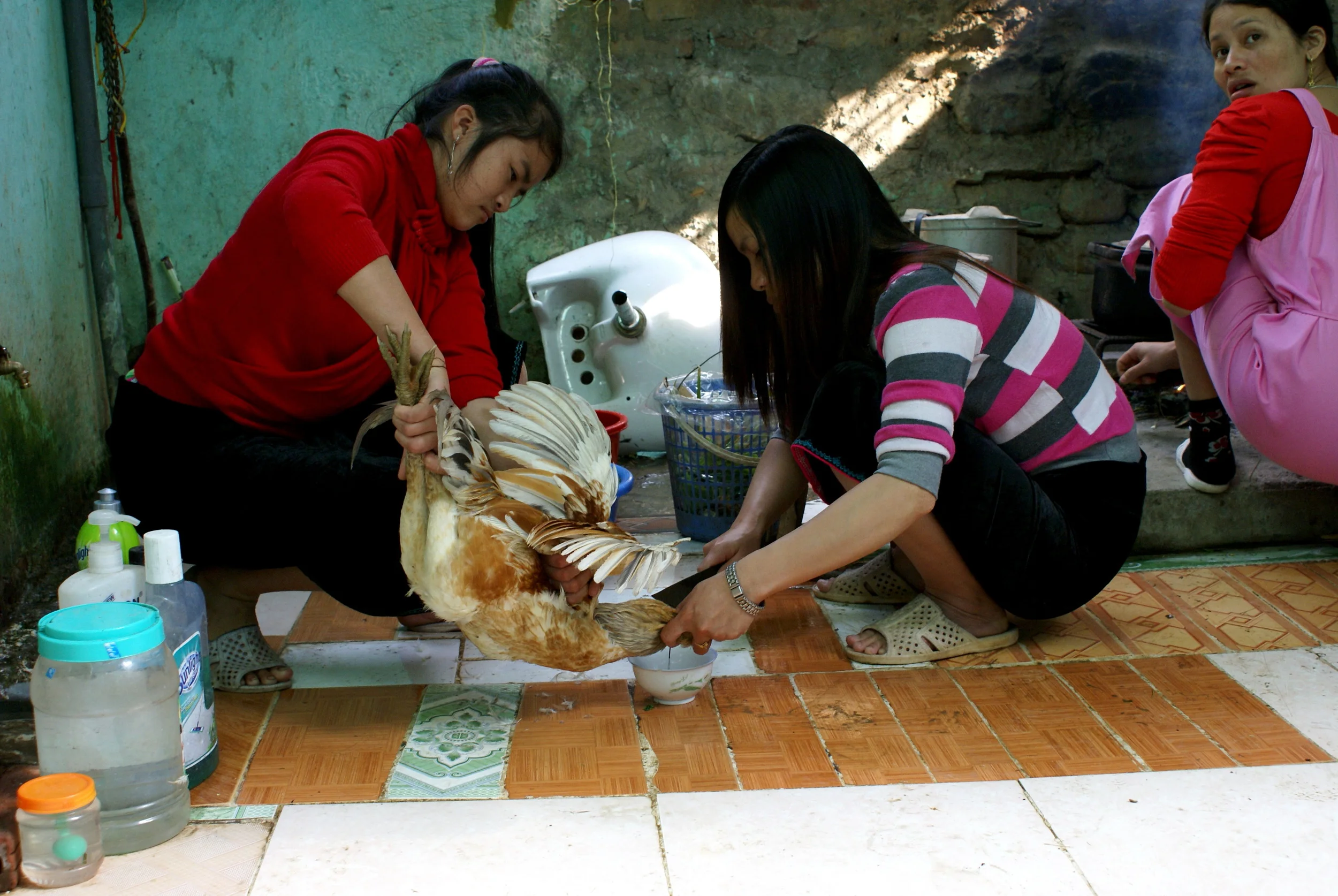 Tú Lệ, Vietnam © Candice Nguyen