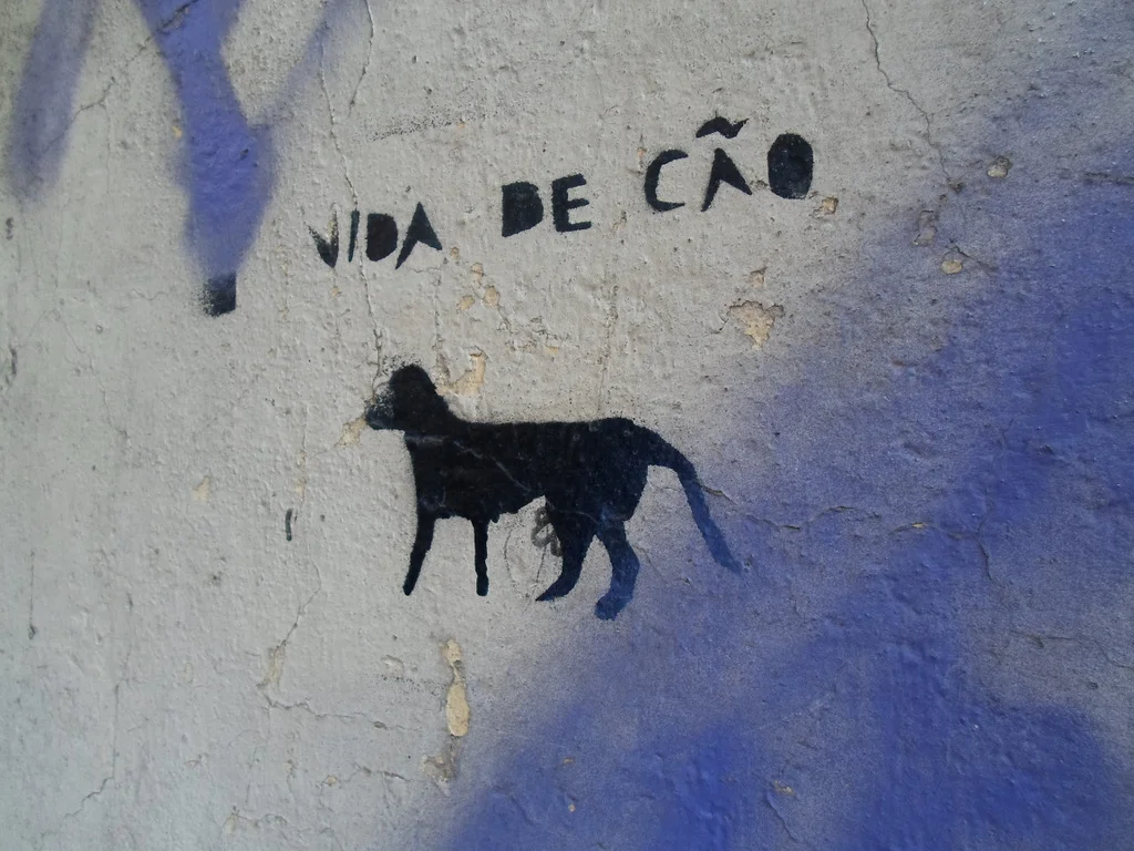 Lisbonne © Candice Nguyen