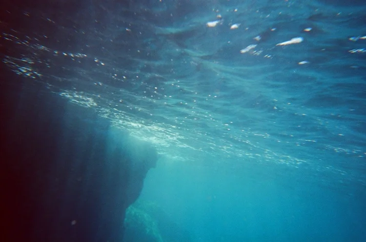 Short-cuts (6), par Nina Rendulic