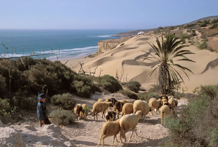 Les Paysages politiques, ou comment la géographie est entrée en politique 