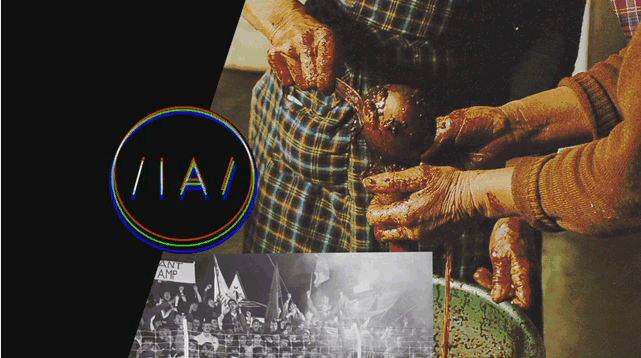 Surveillance vidéo # 20 - Low Jack - Flashes