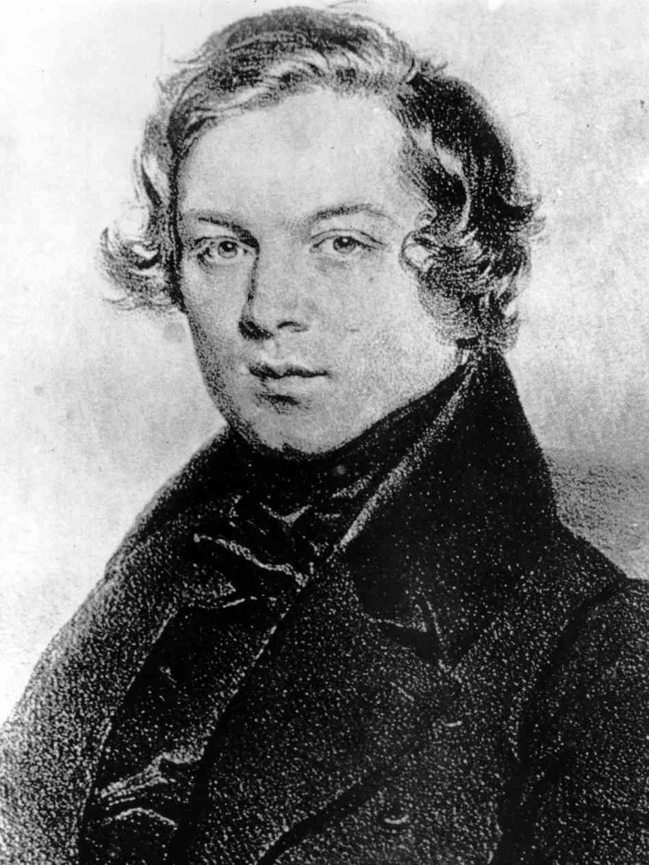 Les huit enfants Schumann, de Nicolas Cavaillès