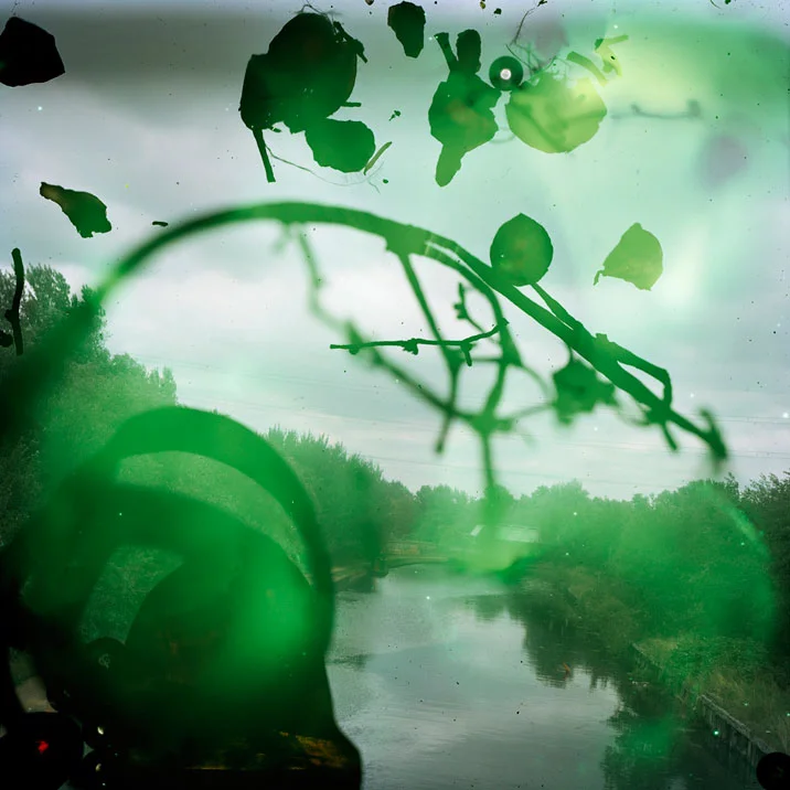 “Talking to Ants 2”&nbsp;© Stephen Gill