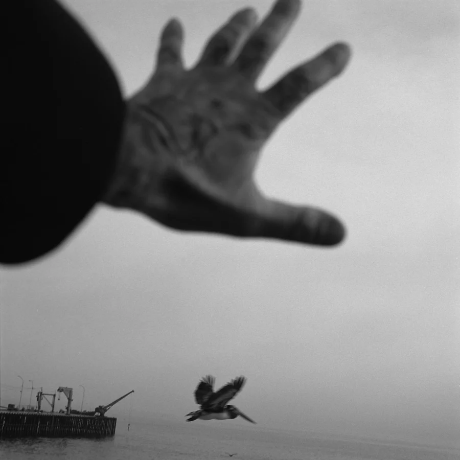 Nous irons à Valparaiso - Alberto Garcia-Alix