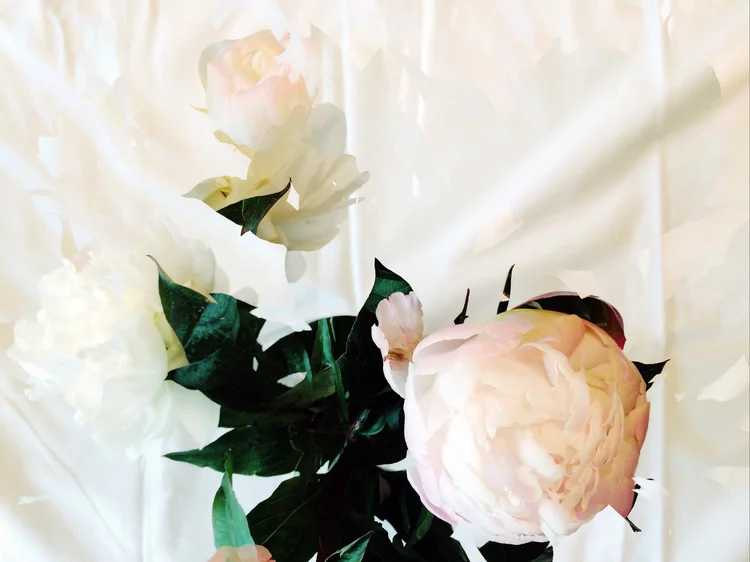 Short-Cuts 20, par Nina Rendulic