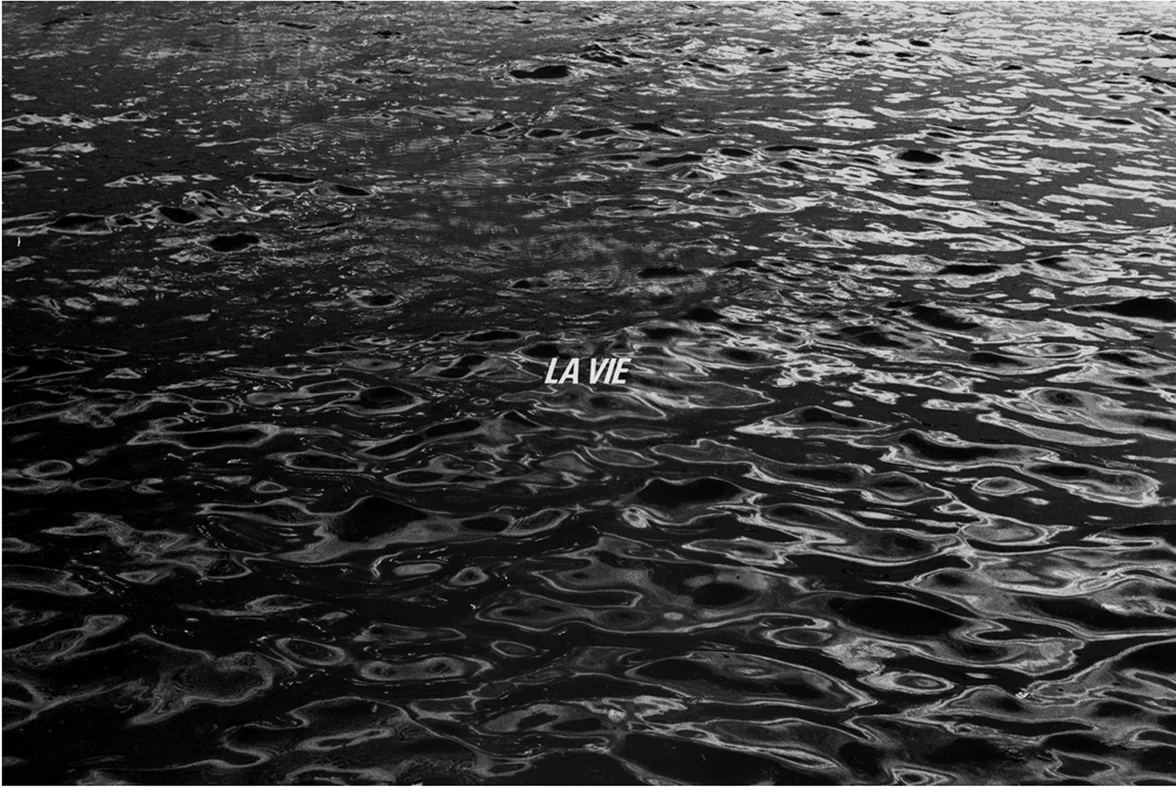 Vivre, ou rien. Par le Comité érotique révolutionnaire