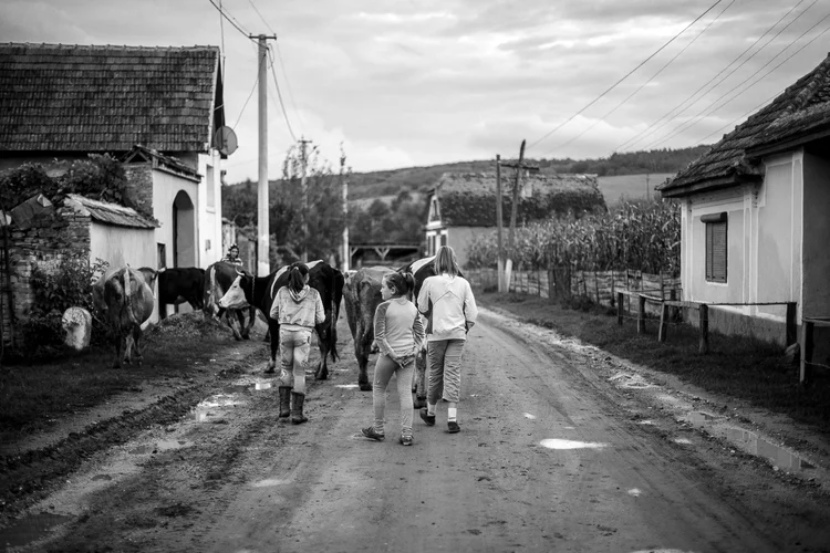 Duel de chiens dans nos têtes, par Sébastien Ménard 