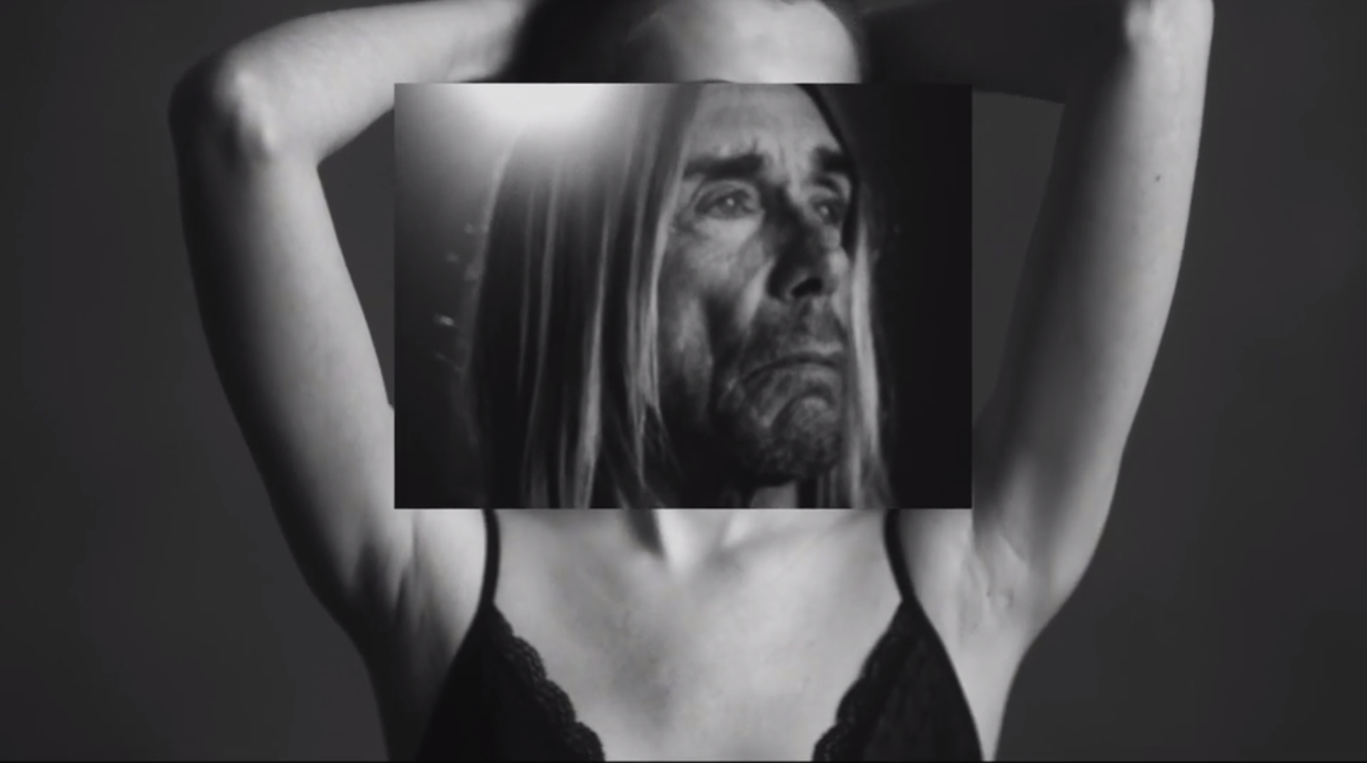 Iggy Pop est de retour : "Gardenia" est somptueux