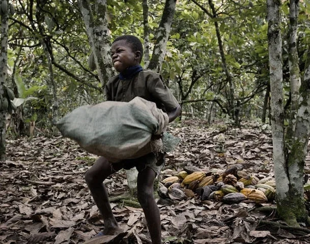 le chocolat n'a plus même goût quand on sait que le cacao est récolté par des enfants esclaves