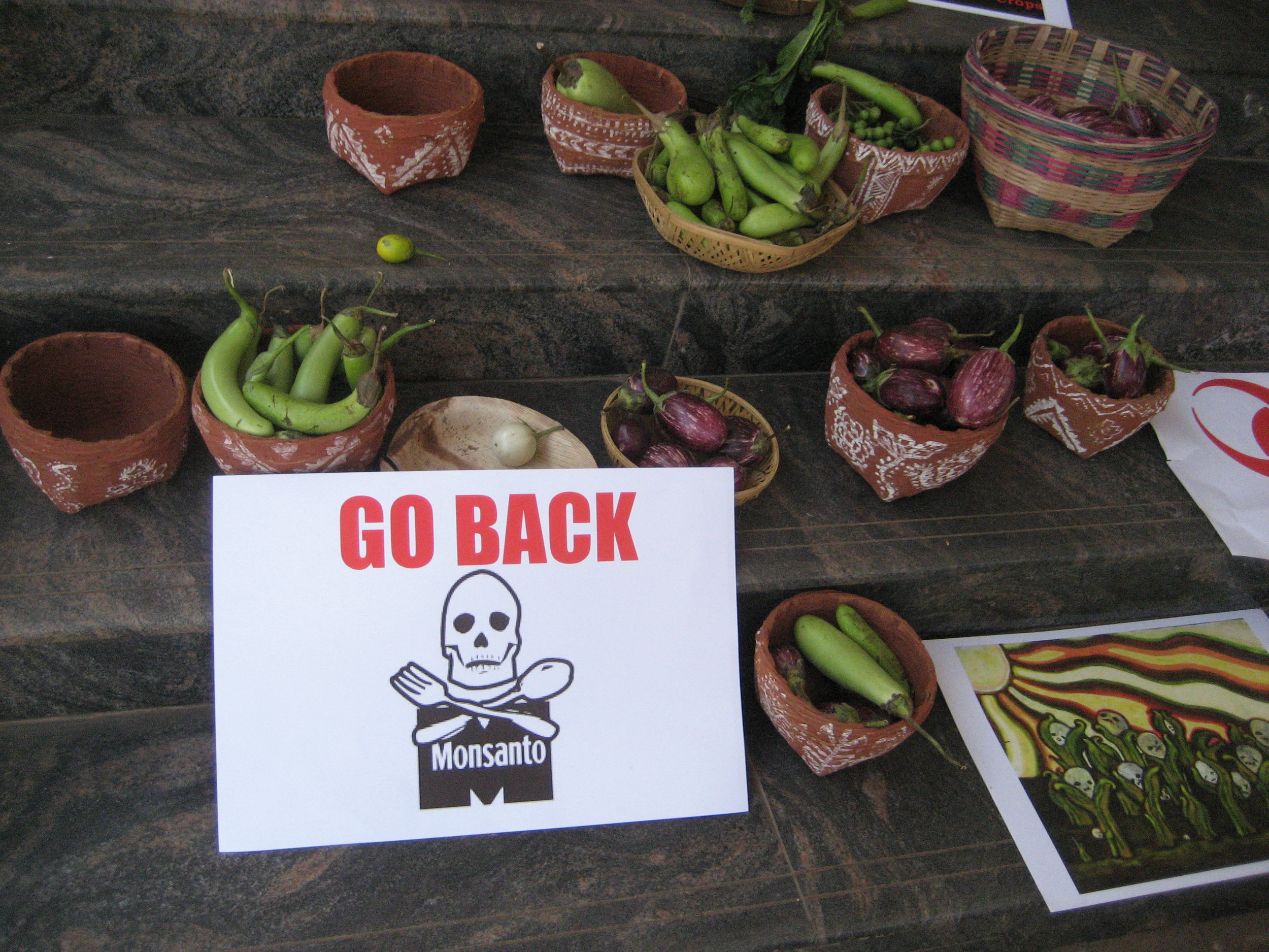 Monsanto+Bayer=MoBay, le cartel des empoisonneurs aux OGM contre l'Inde