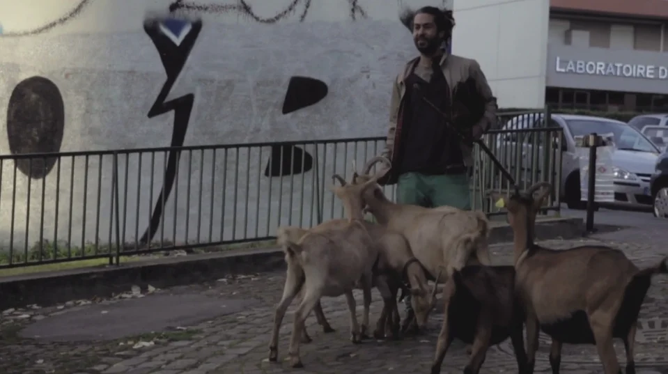 Sideways à Bagnolet - la belle histoire de Petit Pois, berger des cités HLM