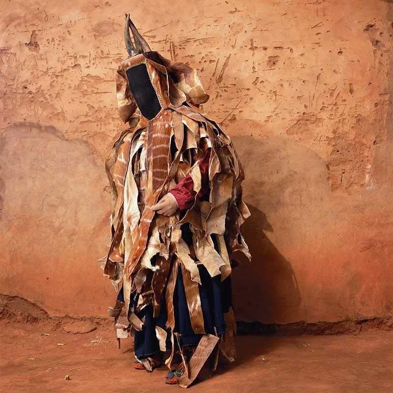 Les réprésentations animales de Phyllis Galembo