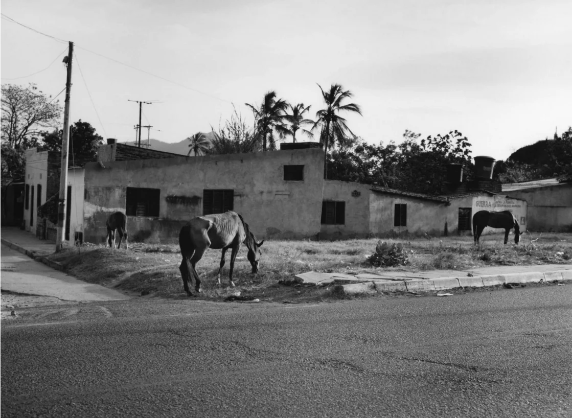 Karen Paulina Biswell : Radio Macondo