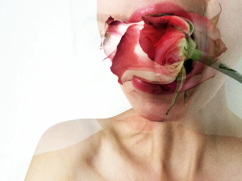 SHORT-CUTS 38, par Nina Rendulic