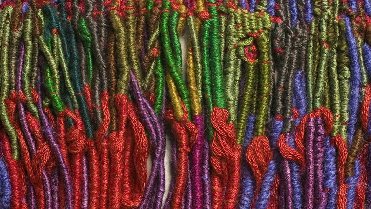 Les Apprentissages de Sheila Hicks