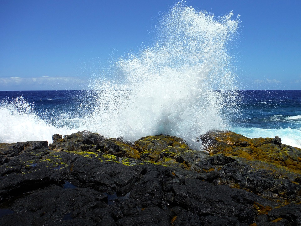 Cobby & Litten sortent tout juste de la mer : "C'est du brutal !"