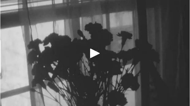 Surveillance vidéo #4 - Dave Pajo / Bloom