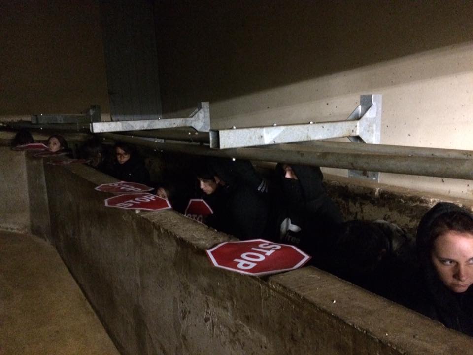Occupation de l'abattoir de Corbas (Rhône) par des activistes de la libération animale