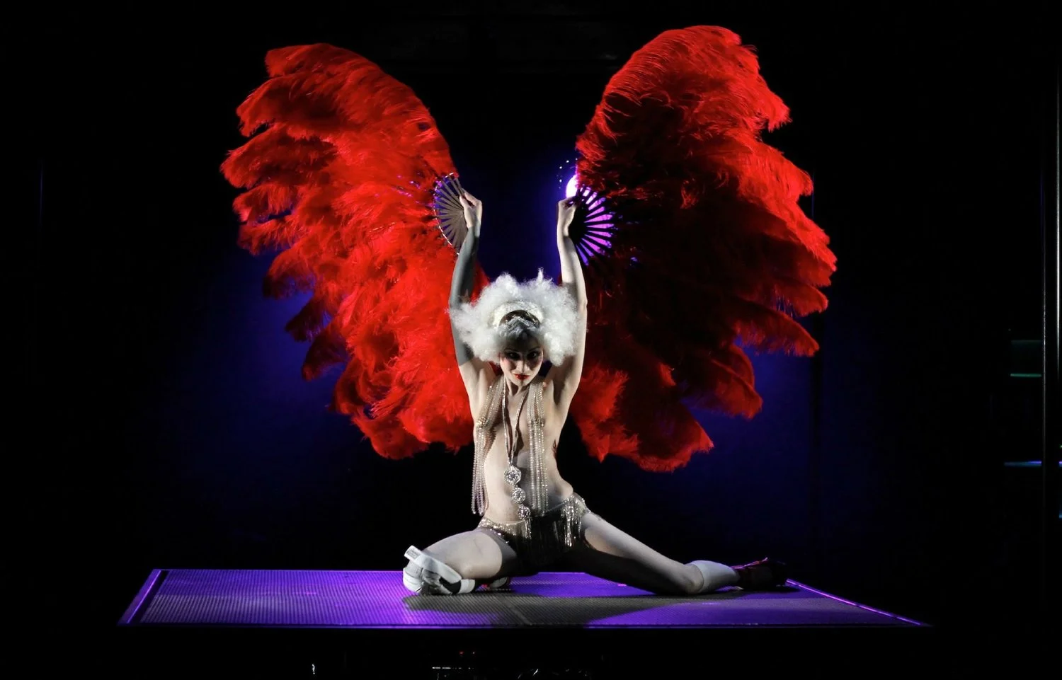 Steam, au Cirque Electrique, la violence avec des plumes 