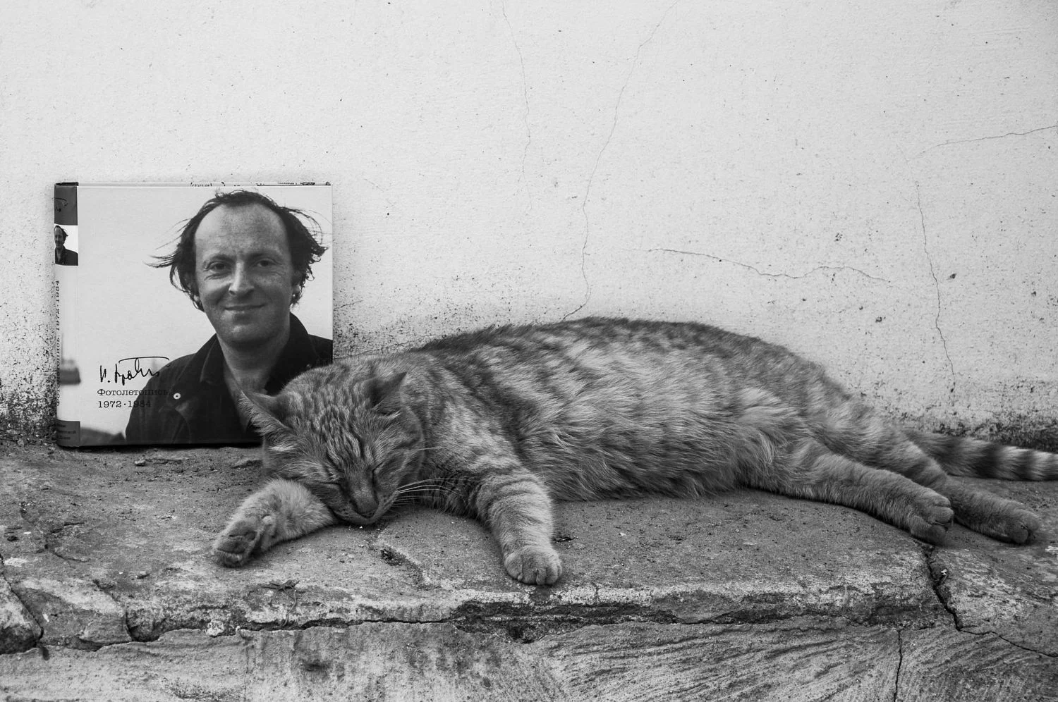 Une journée avec le chat de Joseph Brodsky