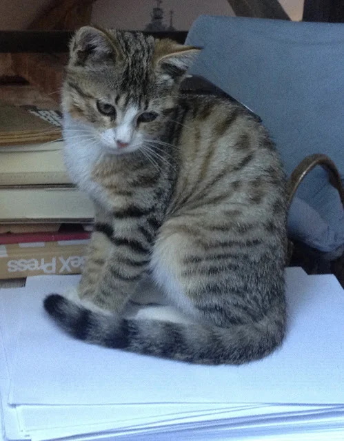 Pas les mains vides par Claro 