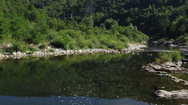 Élisée avant les ruisseaux et les montagnes, par Lou Darsan