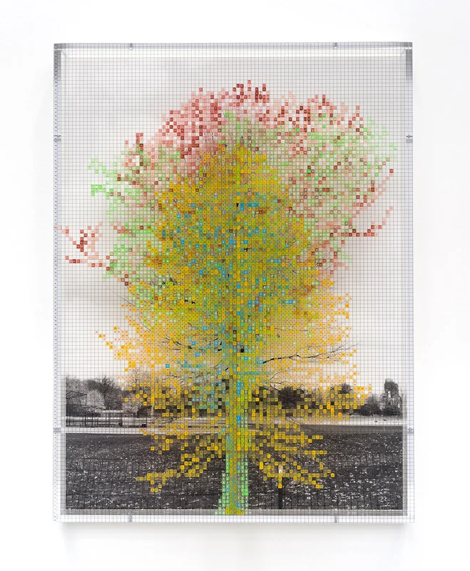 Des grilles, des arbres et des palmiers, mais vus par Charles Gaines… 