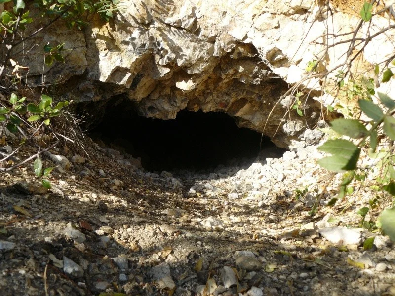 L'avenir marseillais sera cavernicole - et saignant !