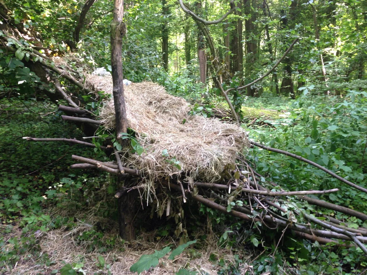 En quête d'autres espaces - Sur des territoires fluides 