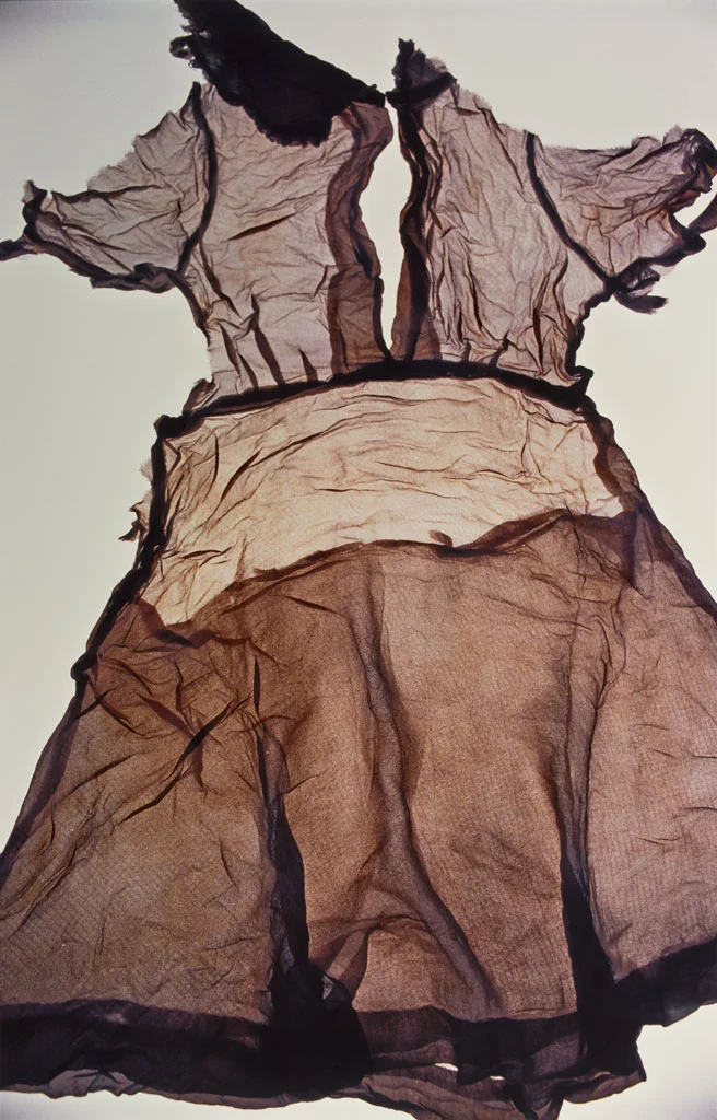 Ishiuchi Miyako.jpeg