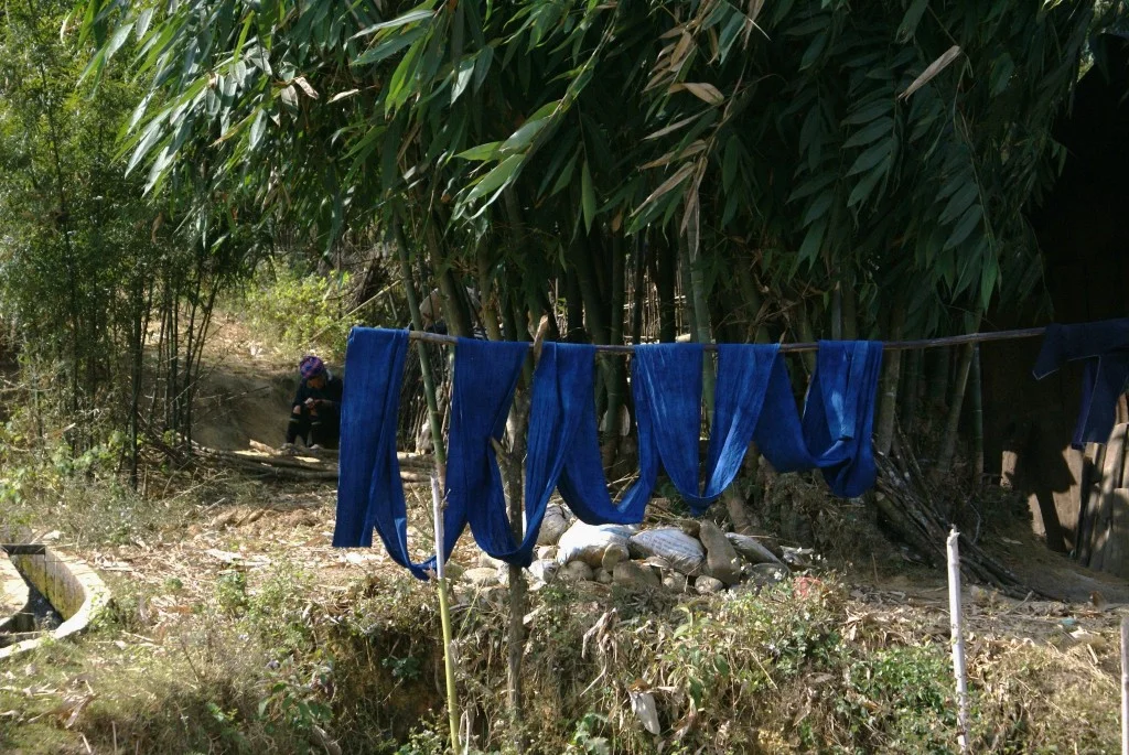 Indochine (5/5) : L’indigo à leurs mains mélangé, par Candice Nguyen