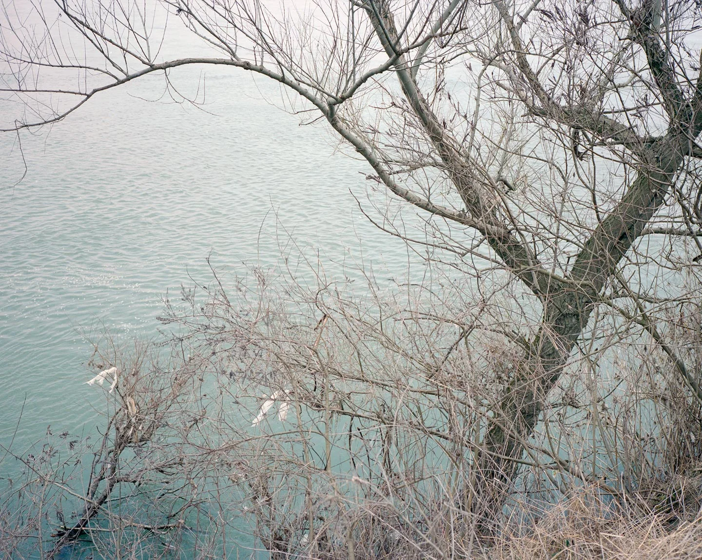 Inscrire l'humain - à son corps défendant - dans le paysage 