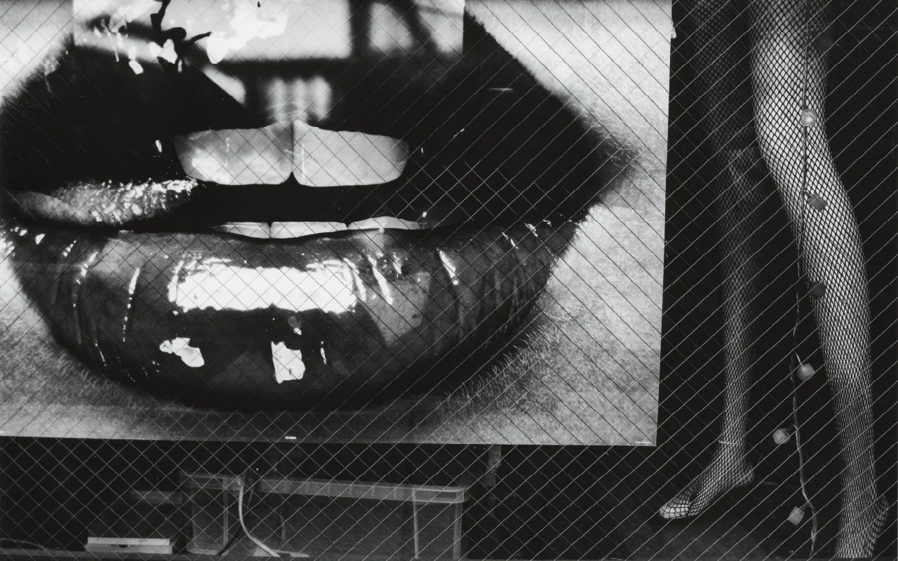 Daido Moriyama : "Mémoires d'un chien", ou la rage de la photo