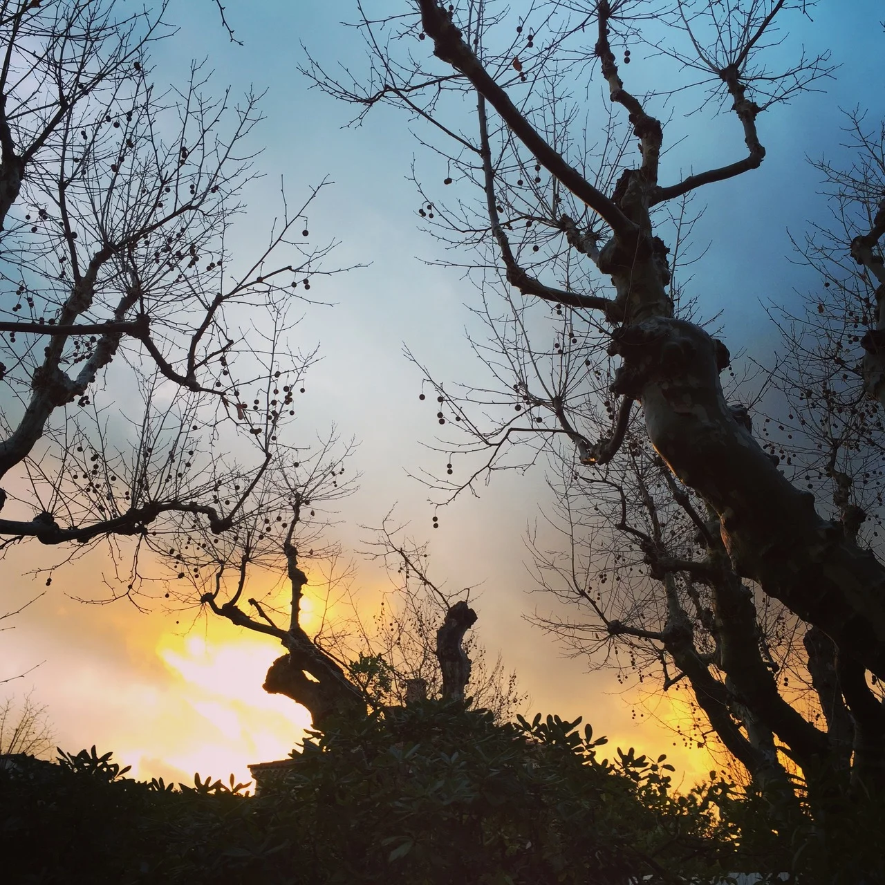 LA NUIT VENUE (CHRONIQUE DES JOURS MEILLEURS), PAR ARNAUD MAÏSETTI