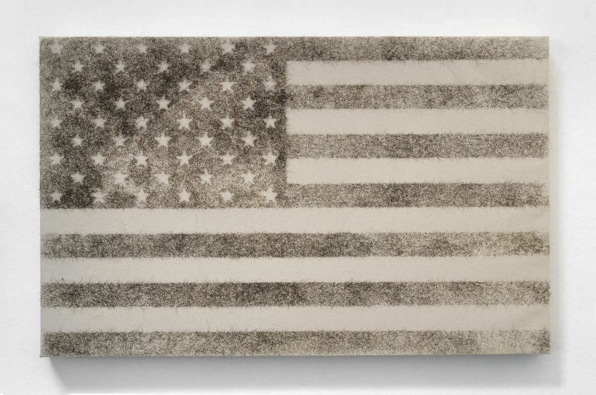 Abdul Mazid lutte contre les "true lies" américains