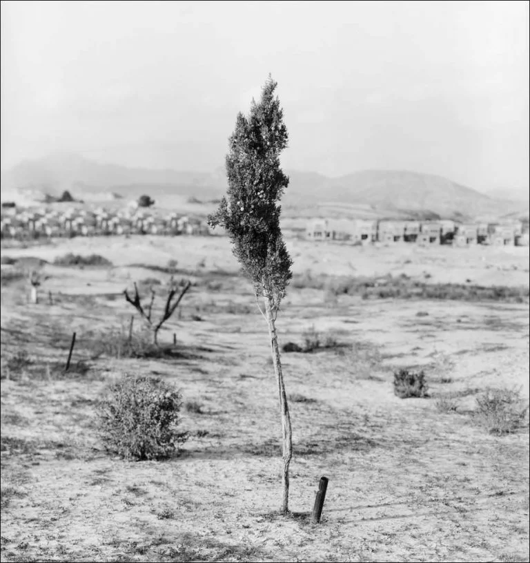 Quand Jürgen Nefzger joue "Contre-Nature" 