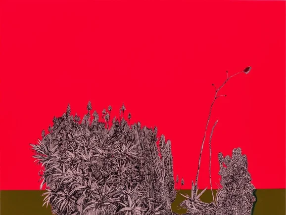 La Bardo Parade de Whitney Bedford