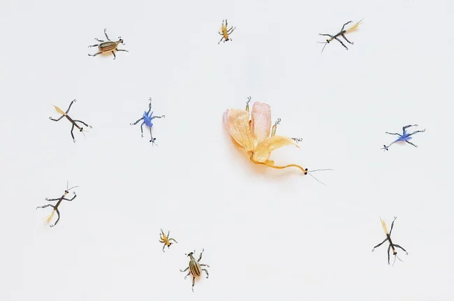 ORIE INOUE, Amas #3, 2017 (Orié Inoué : Bruissements alentour)Ses œuvressont une rêverie ; tout à la fois dessins et herbiers, plantes et insectes, bestiaire de conte surréaliste et panthéon mythique aux divinités délicates… l’artistey livre une vis…
