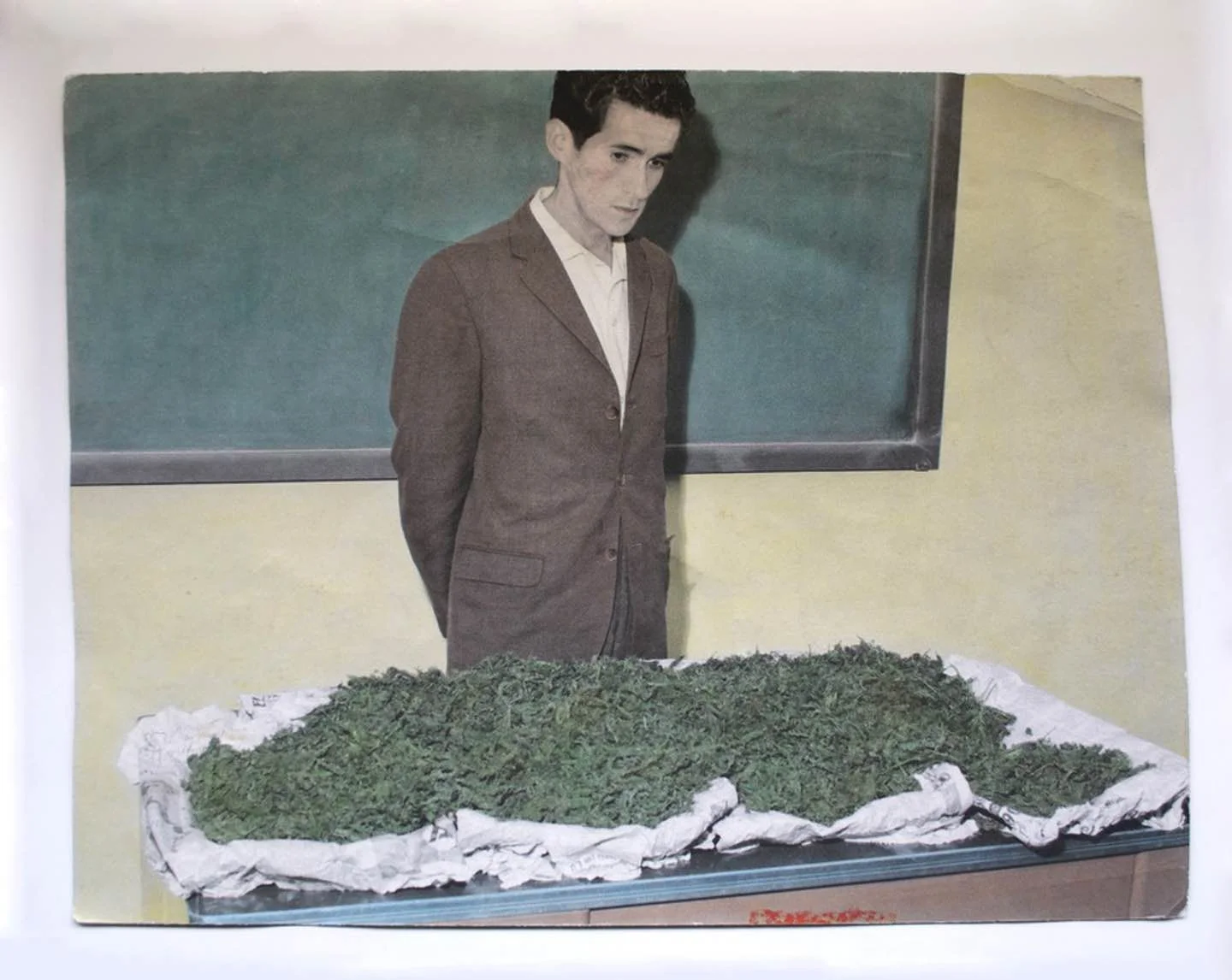 Archivo Muerto et la vérité élastique des légendes photos 