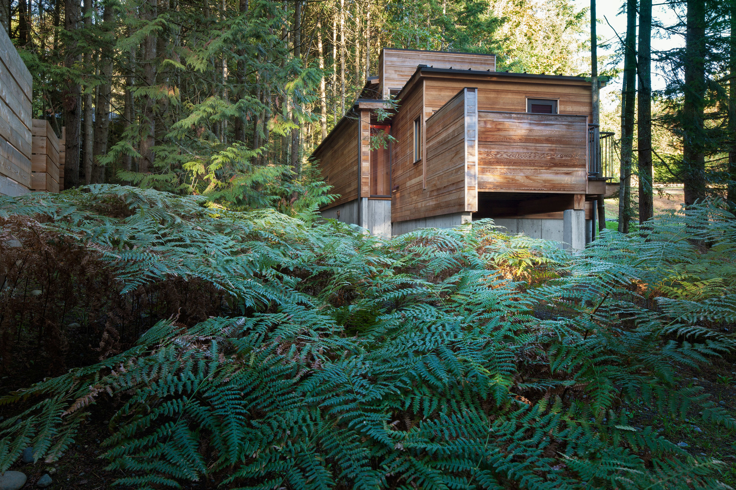 Agathom Co., Retraite de la forêt , 2014, Vancouver Island, British Columbia, Canada. credit: Steven Evans