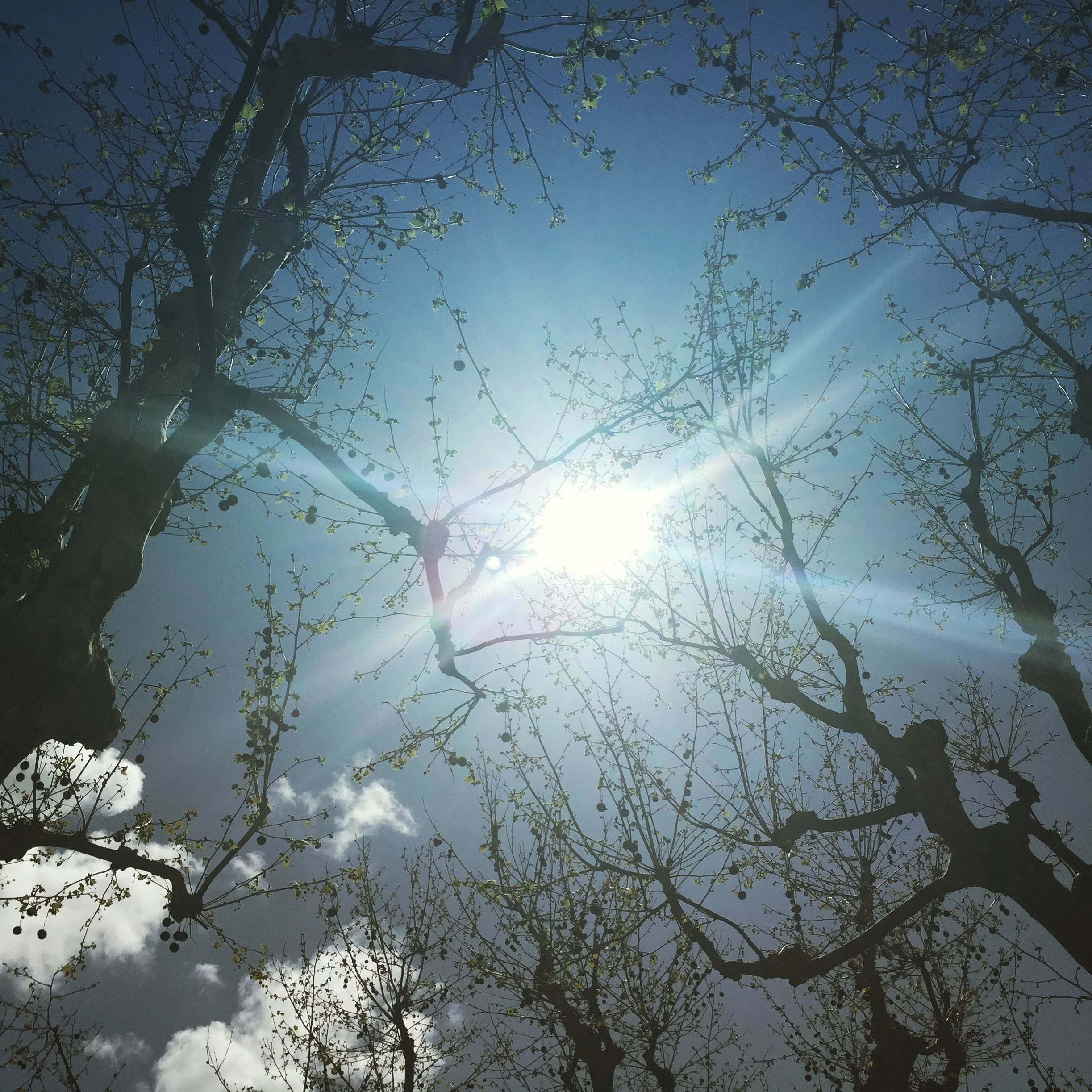 Le cri des plaintes qu’on invente, par Arnaud Maïsetti