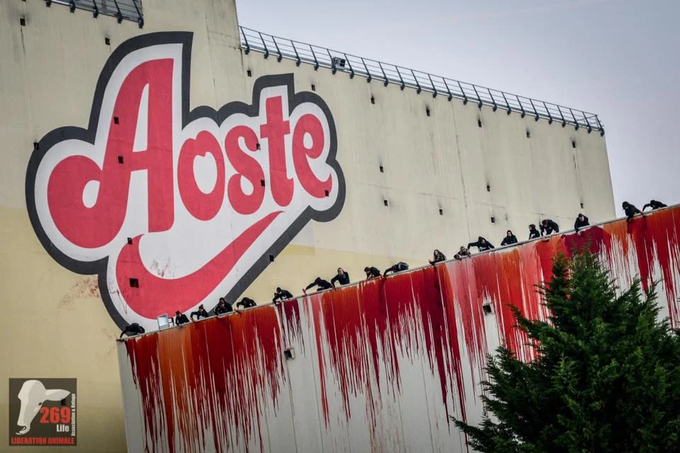 Il n'y a pas de viande heureuse - les bases de l'anti-spécisme