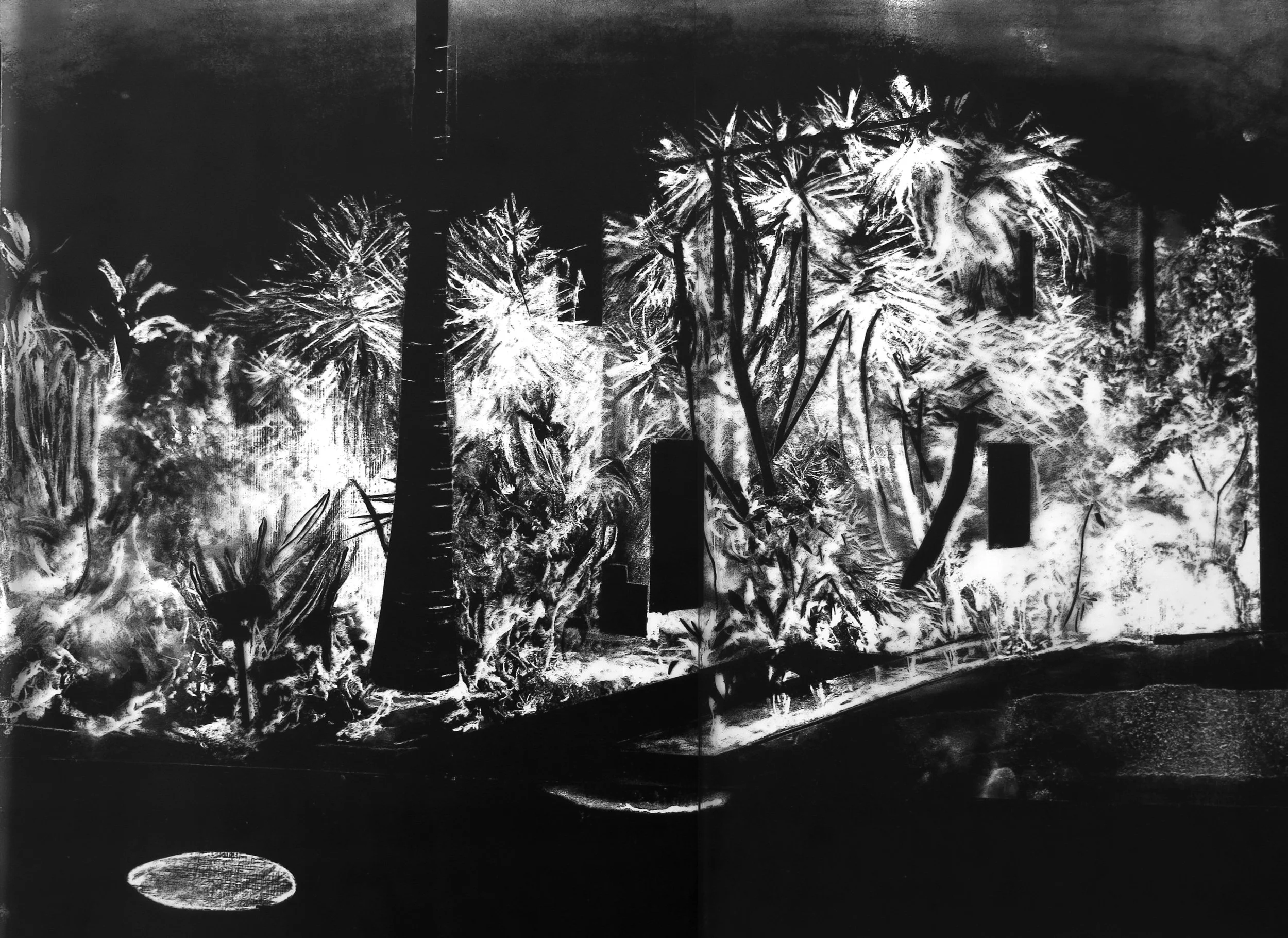 Avec Maxime Duveau, Los Angeles c'est 2,24' de brûlure à long terme