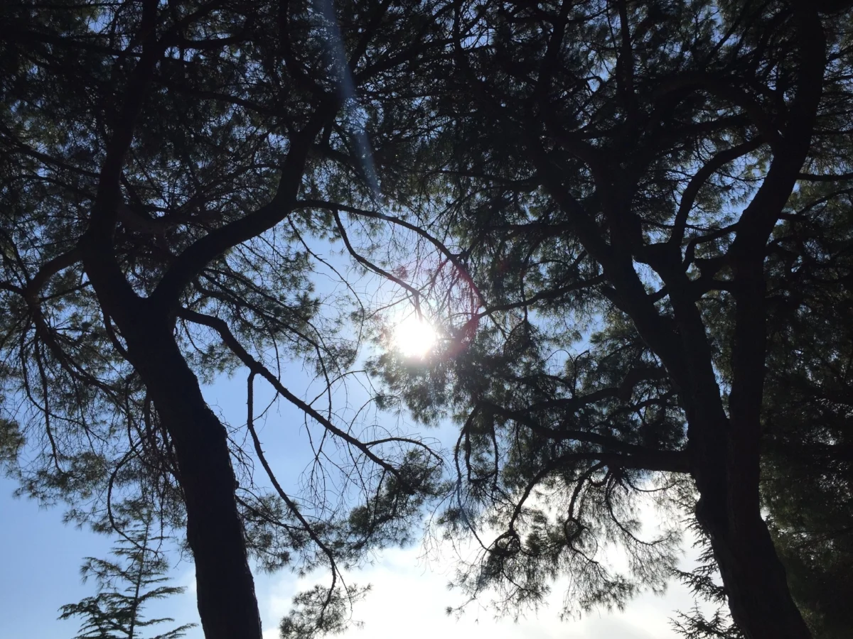 L’état de la France, juste avant la peau. Par Arnaud Maïsetti