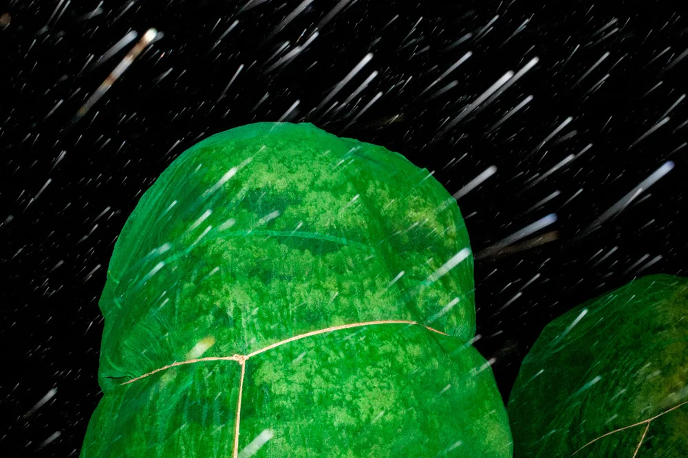 Les splendeurs fantomatiques de la côte de Niigata