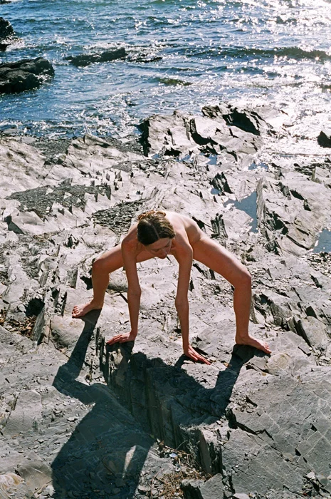 Les Synchrodogs inventent de renversantes rencontres avec la Nature