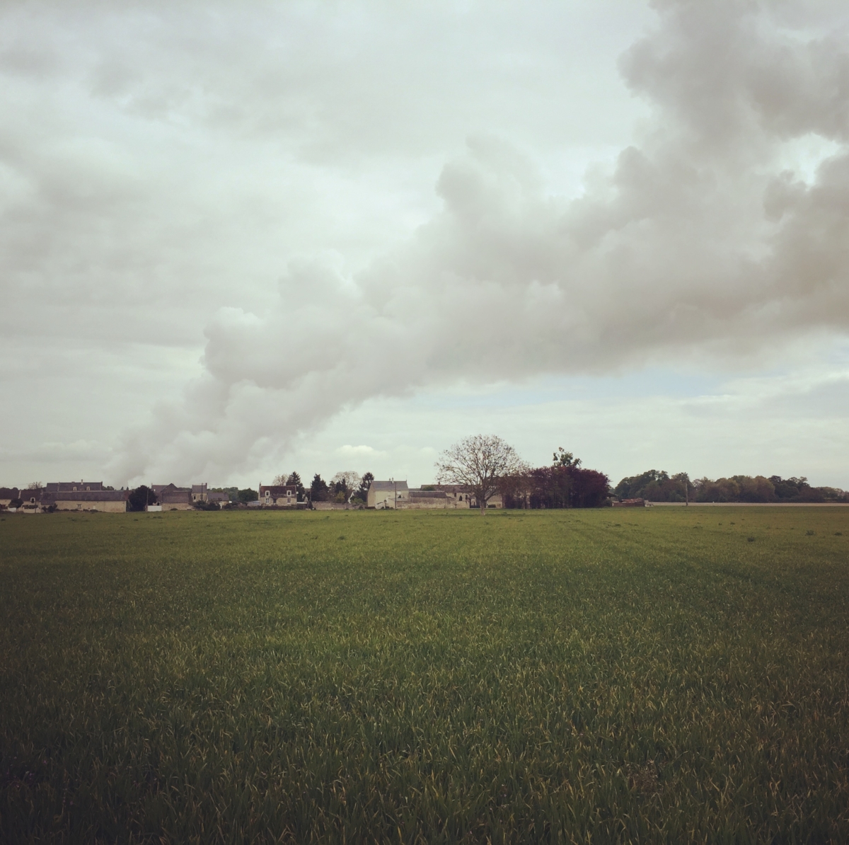 La campagne battait son plein, par Arnaud Maïsetti