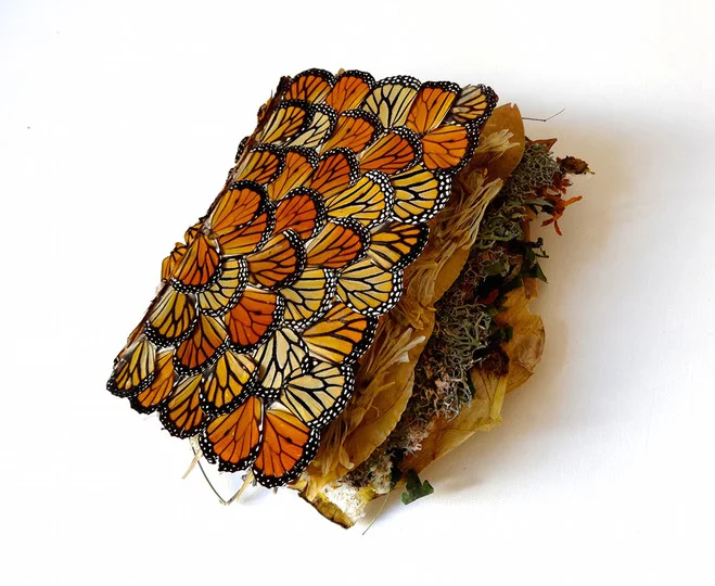 Rachel Marks danse avec les Monarques