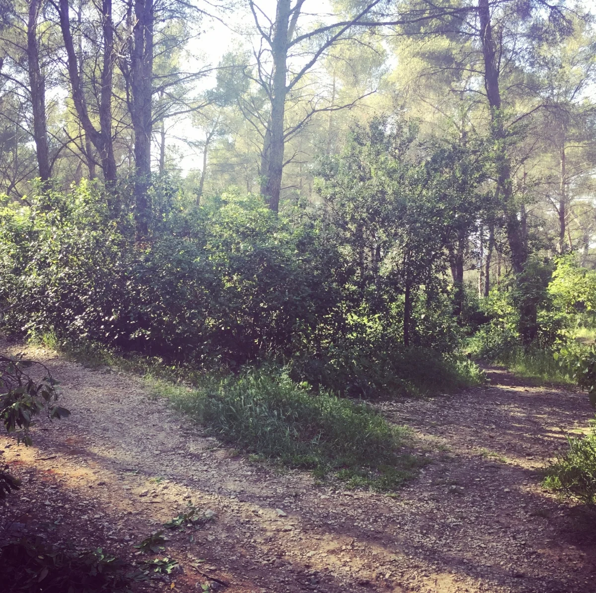 Un monde par défaut, par Arnaud Maïsetti