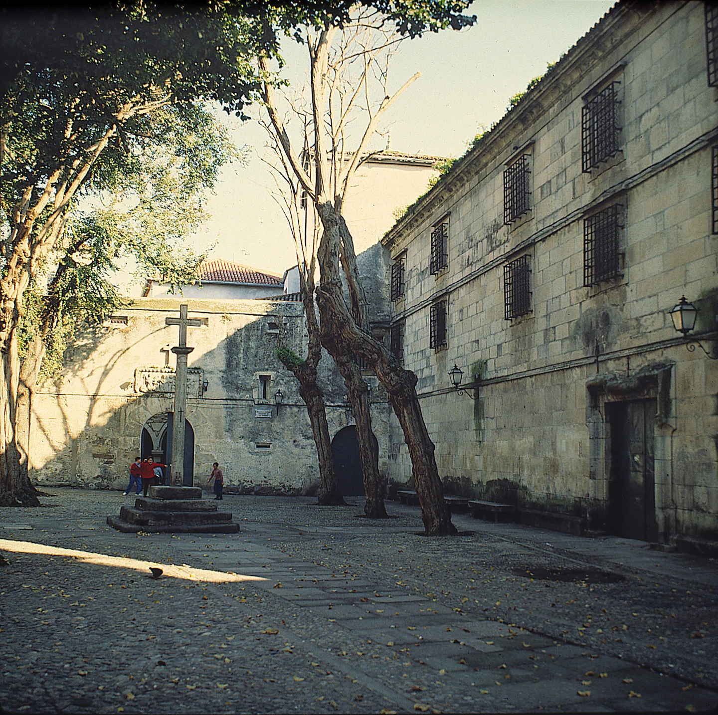 Dans les replis contemporains de l’état profond espagnol. Bien noir et superbe.